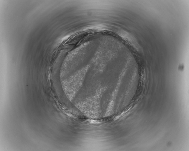 X0000093580822200711121058