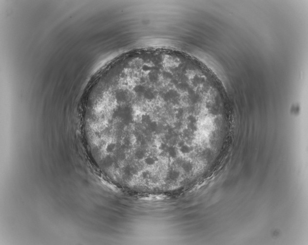 X0000093580823200711121058