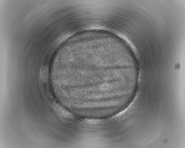 X0000093580825200711121058