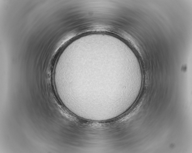 X0000093580827200711121058