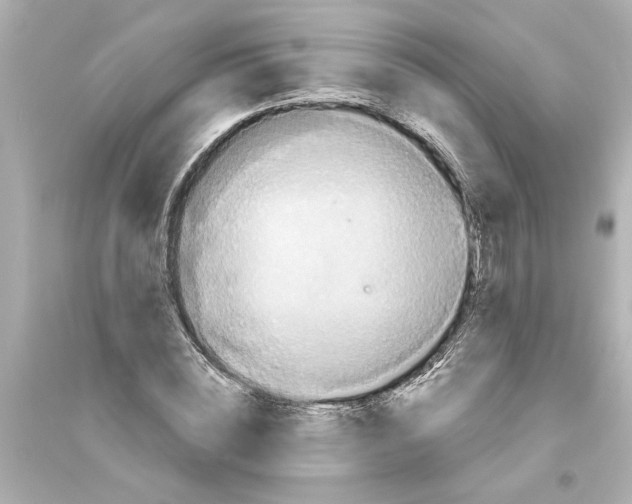 X0000093580828200711121059