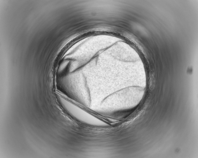 X0000093580829200711121059