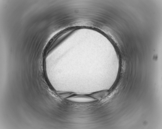 X0000093580830200711121059