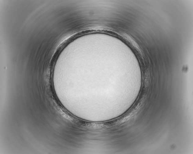 X0000093580831200711121059