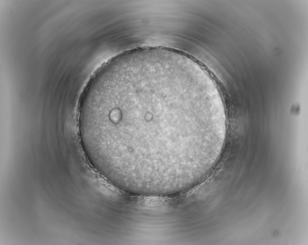 X0000093580832200711121059