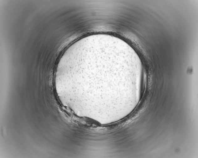 X0000093580833200711121059