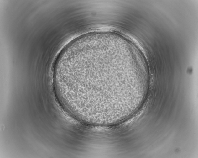 X0000093580835200711121059