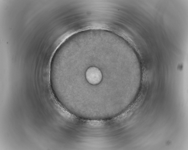 X0000093580836200711121059