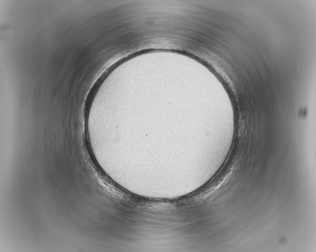 X0000093580837200711121059