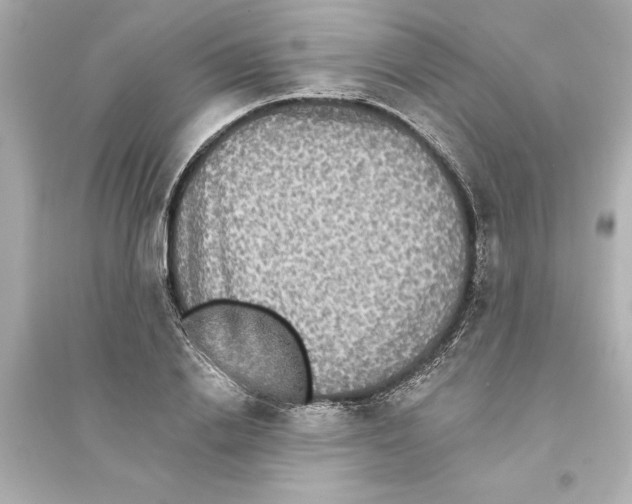 X0000093580838200711121059