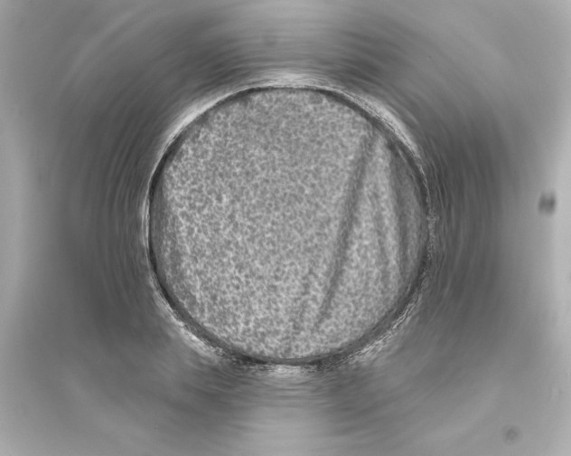 X0000093580839200711121059