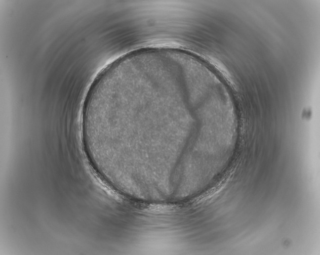 X0000093580840200711121059