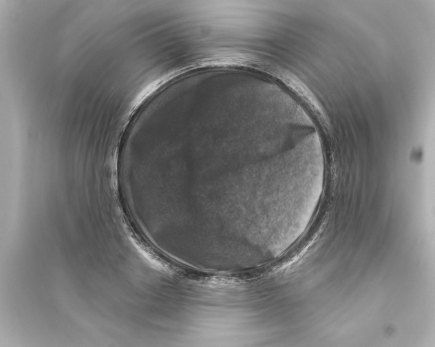 X0000093580842200711121059