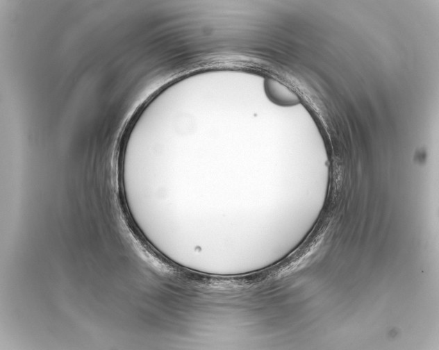 X0000093580843200711121059