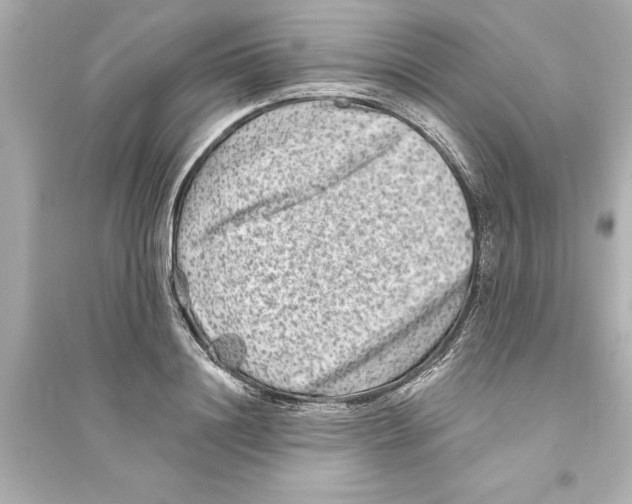 X0000093580844200711121059