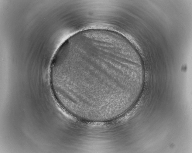 X0000093580846200711121059