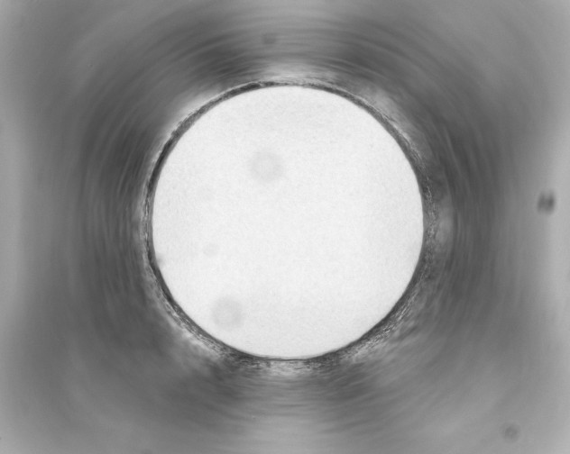 X0000093580848200711121059