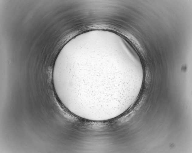 X0000093580849200711121059