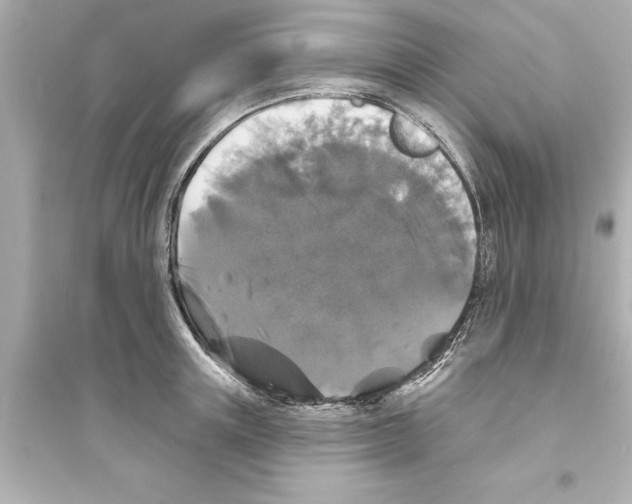 X0000093580851200711121059