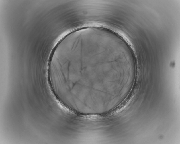 X0000093580853200711121059