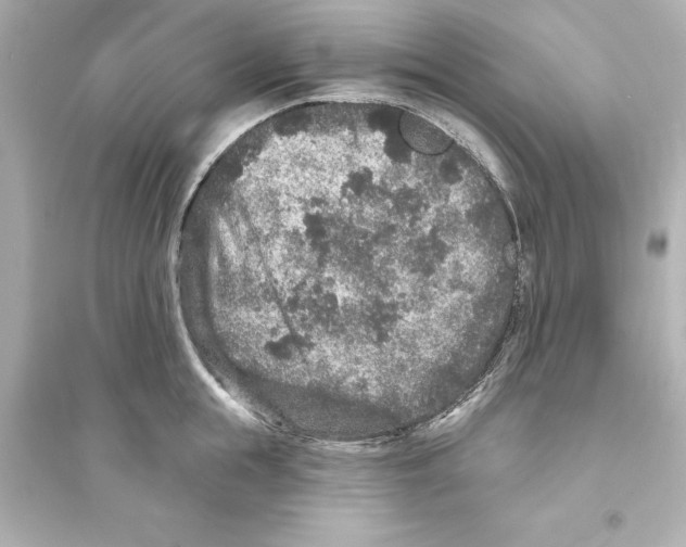 X0000093580855200711121059