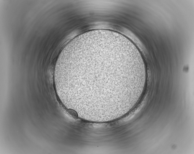 X0000093580857200711121059