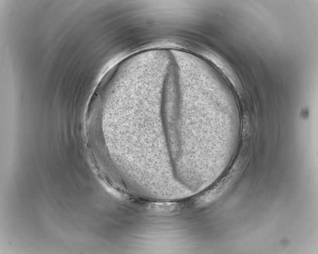 X0000093580858200711121059