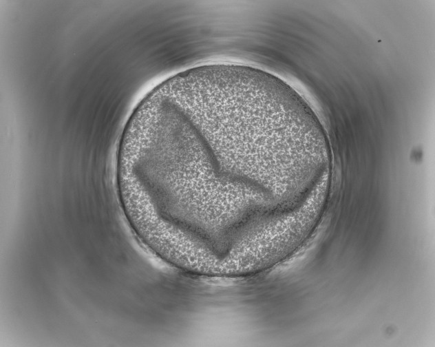 X0000093580862200711121059