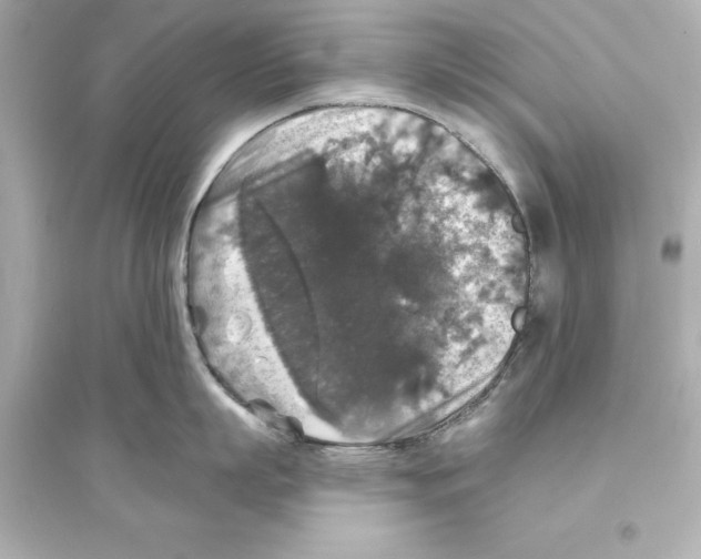 X0000093580863200711121059