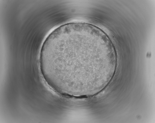 X0000093580864200711121059