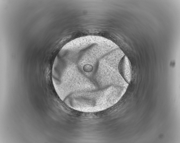 X0000093580866200711121058