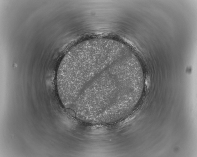 X0000093580867200711121058