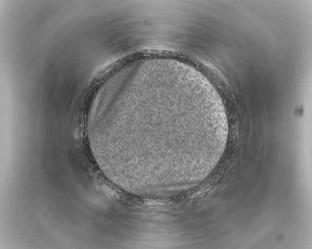 X0000093580870200711121058