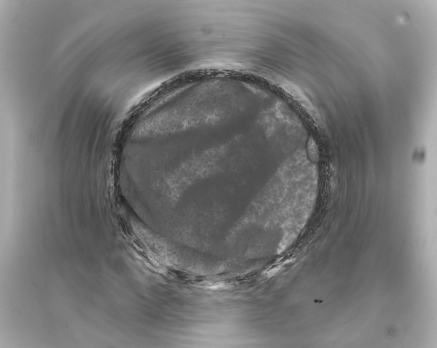 X0000093580872200711121058