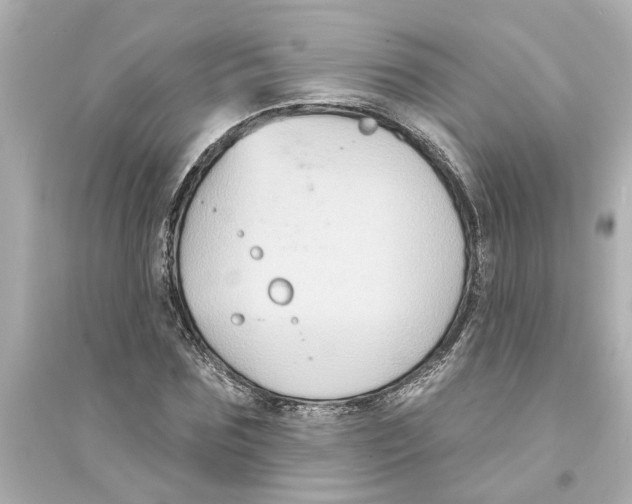 X0000093580875200711121058