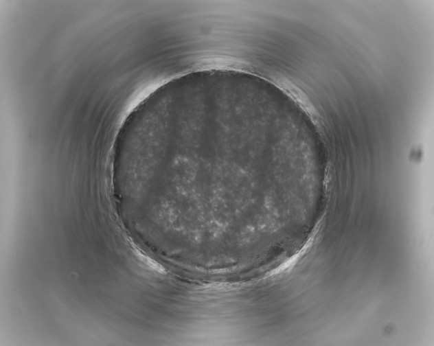 X0000093580877200711121058