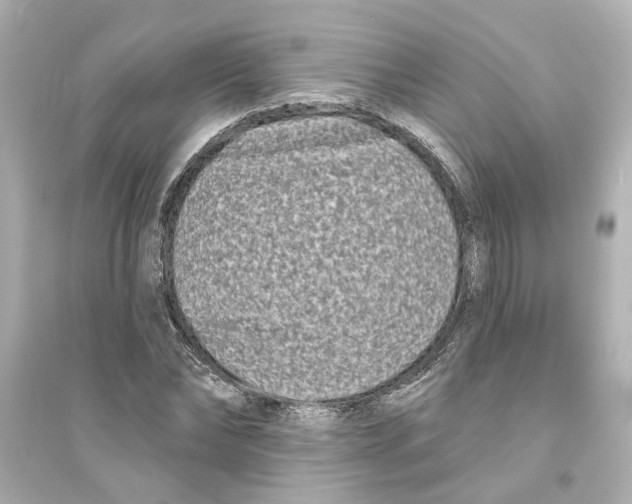 X0000093580878200711121058