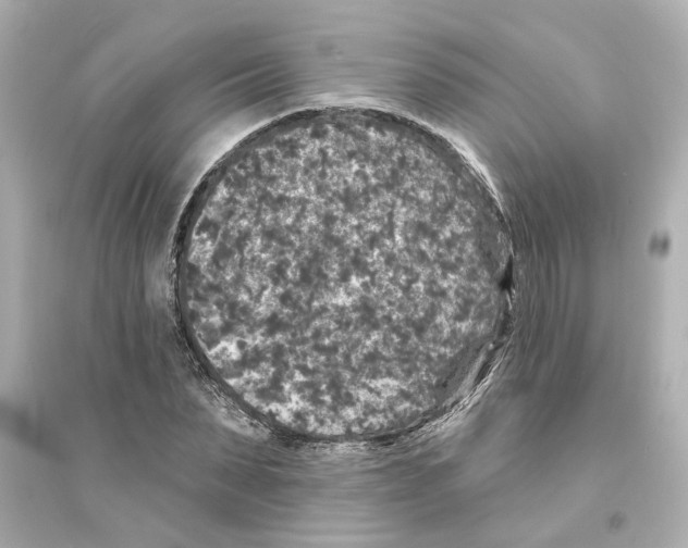 X0000093580879200711121058