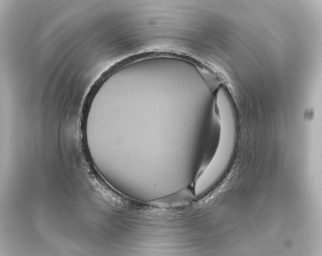 X0000093580880200711121058