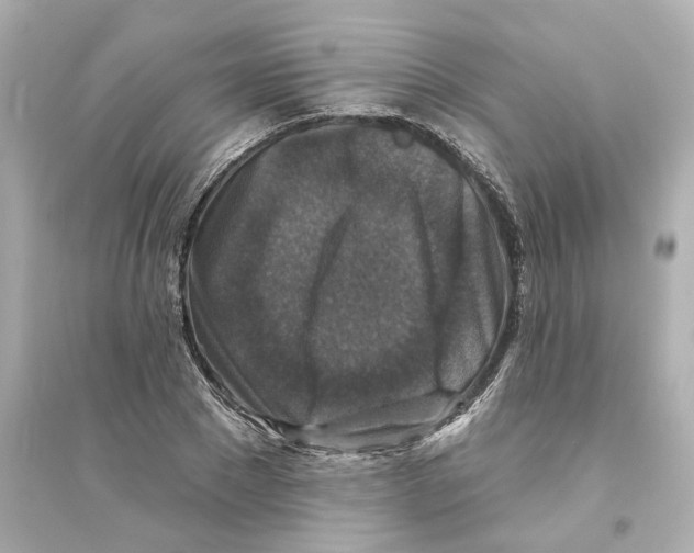 X0000093580881200711121058