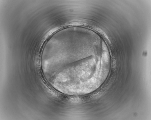 X0000093580882200711121058