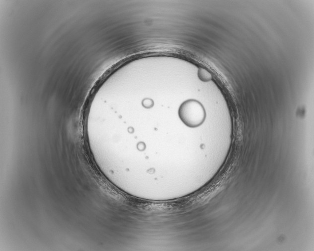 X0000093580883200711121058