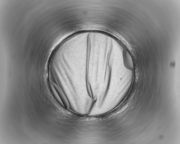 X0000093580885200711121058