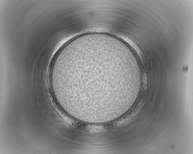 X0000093580886200711121058