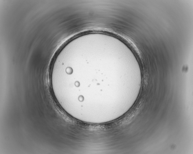 X0000093580887200711121058