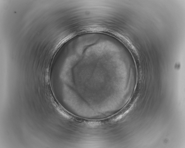 X0000093580889200711121058