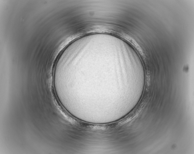 X0000093580890200711121058