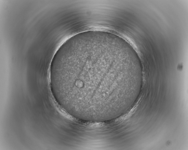 X0000093580891200711121058