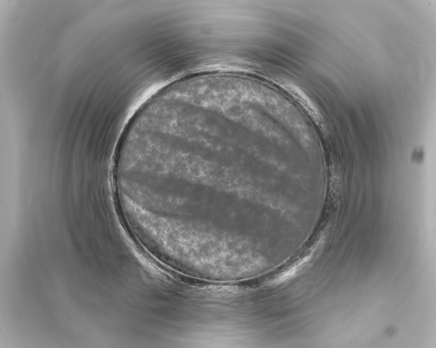 X0000093580893200711121058