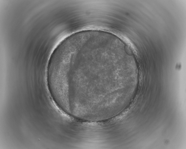 X0000093580896200711121058